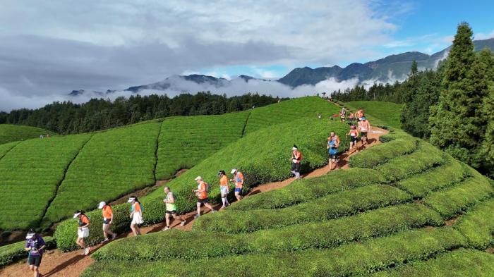 奥运冠军陈定领跑2025鹤峰山马越野赛 茶马古道赛