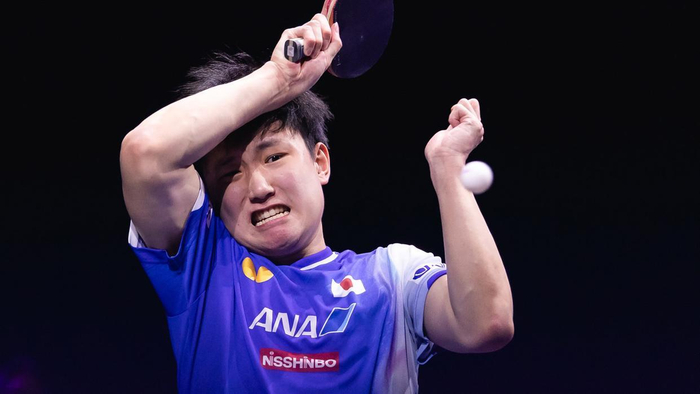 张本智和险胜邱党终结两连败 松岛辉空逆转张禹